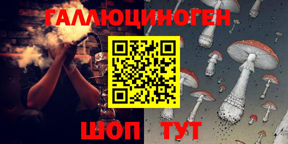 Самара  хочу   Вход с VPN  Псилоцибиновые грибы Psilocybine cubensis 