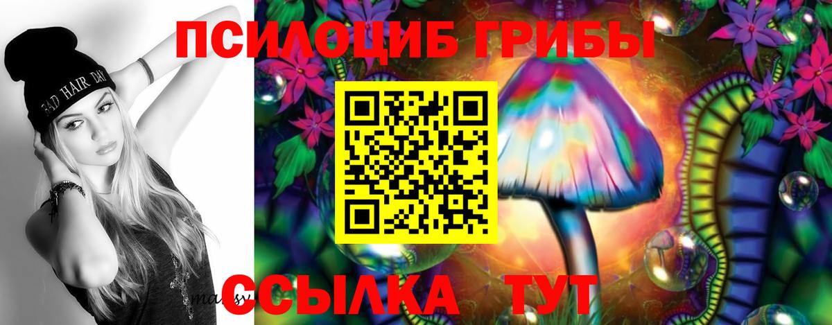 Псилоцибиновые грибы Psilocybe Самара